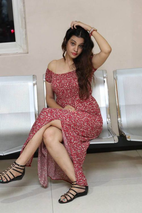 Diksha Panth at MaayaMaal Pre Release Event Photos 4