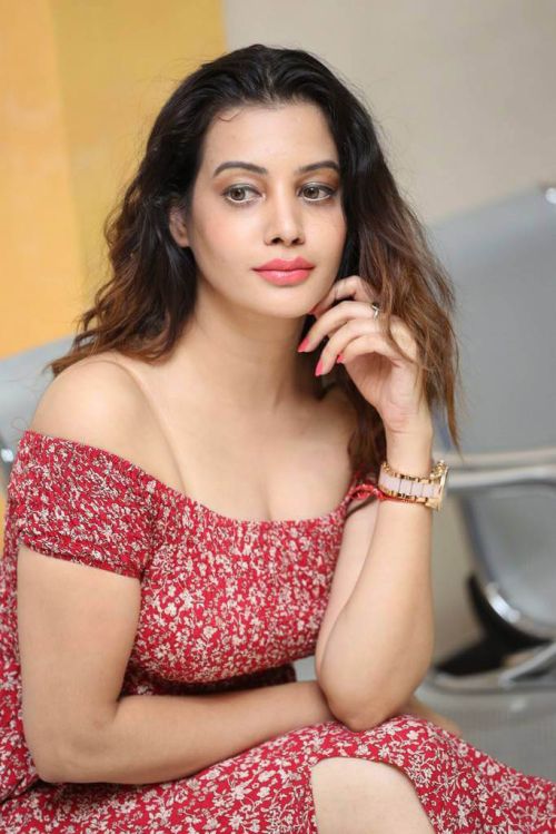 Diksha Panth at MaayaMaal Pre Release Event Photos 19