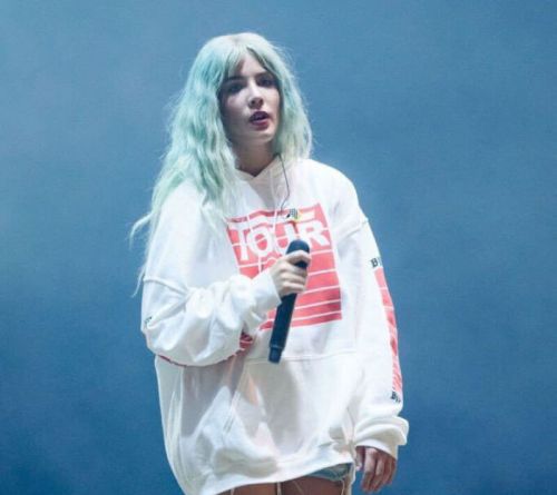 Halsey Stills Performs at Roskilde Festival in Denmark 3