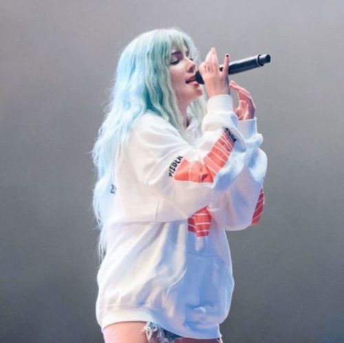 Halsey Stills Performs at Roskilde Festival in Denmark 4