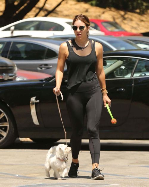 Katharine McPhee Stills Out with Her Dog in Los Angeles Images - 07/22/2017 6