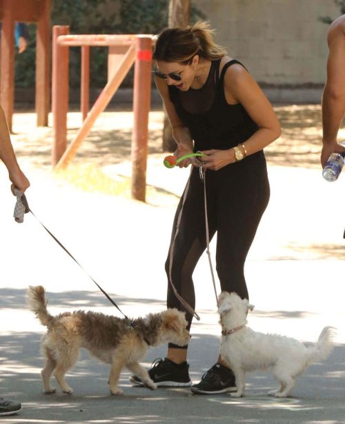 Katharine McPhee Stills Out with Her Dog in Los Angeles Images - 07/22/2017 8