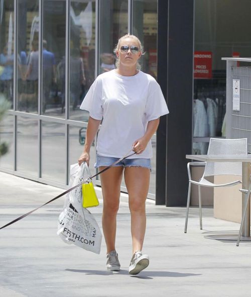 Lindsey Vonn Stills Out Shopping with Her Dog in Beverly Hills 2