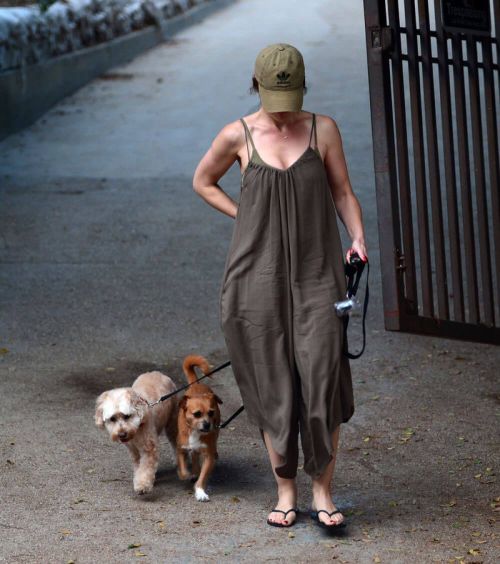 Minka Kelly Stills at a Dog Park in West Hollywood 1