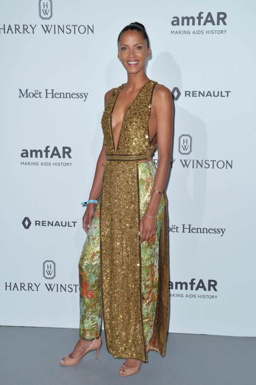 No??mie Lenoir Stills at Amfar Dinner in Paris