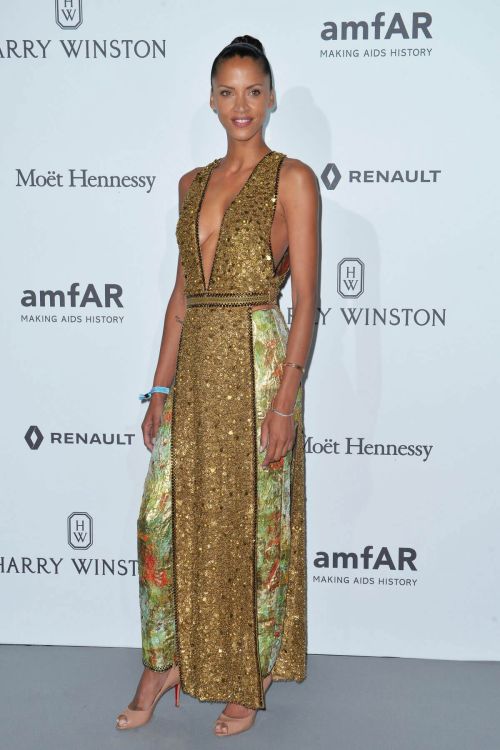 No??mie Lenoir Stills at Amfar Dinner in Paris 1