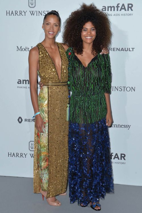 No??mie Lenoir Stills at Amfar Dinner in Paris 2
