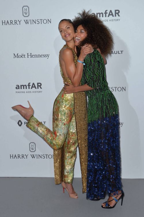 No??mie Lenoir Stills at Amfar Dinner in Paris 5