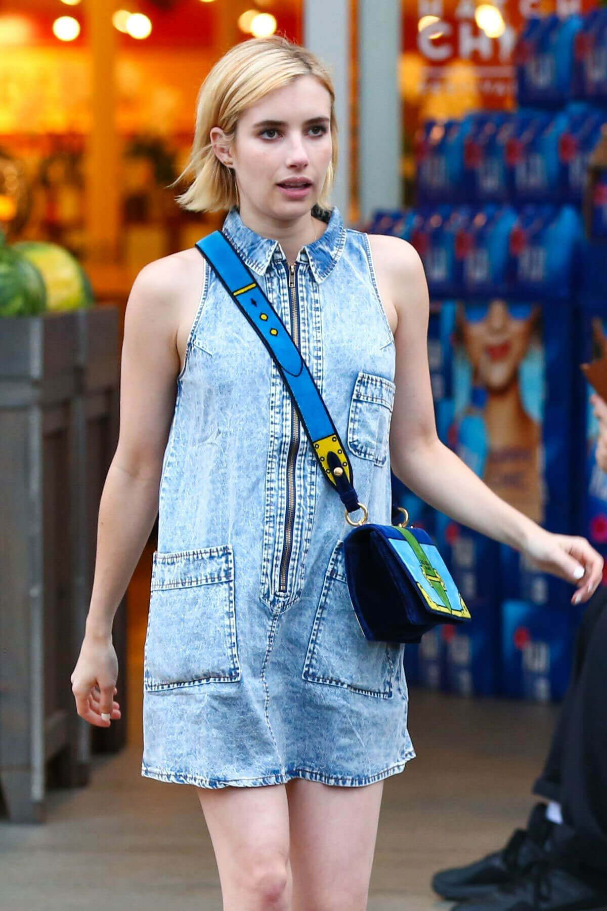 Emma Roberts Stills Shopping at Bristol Farms in Beverly Hills