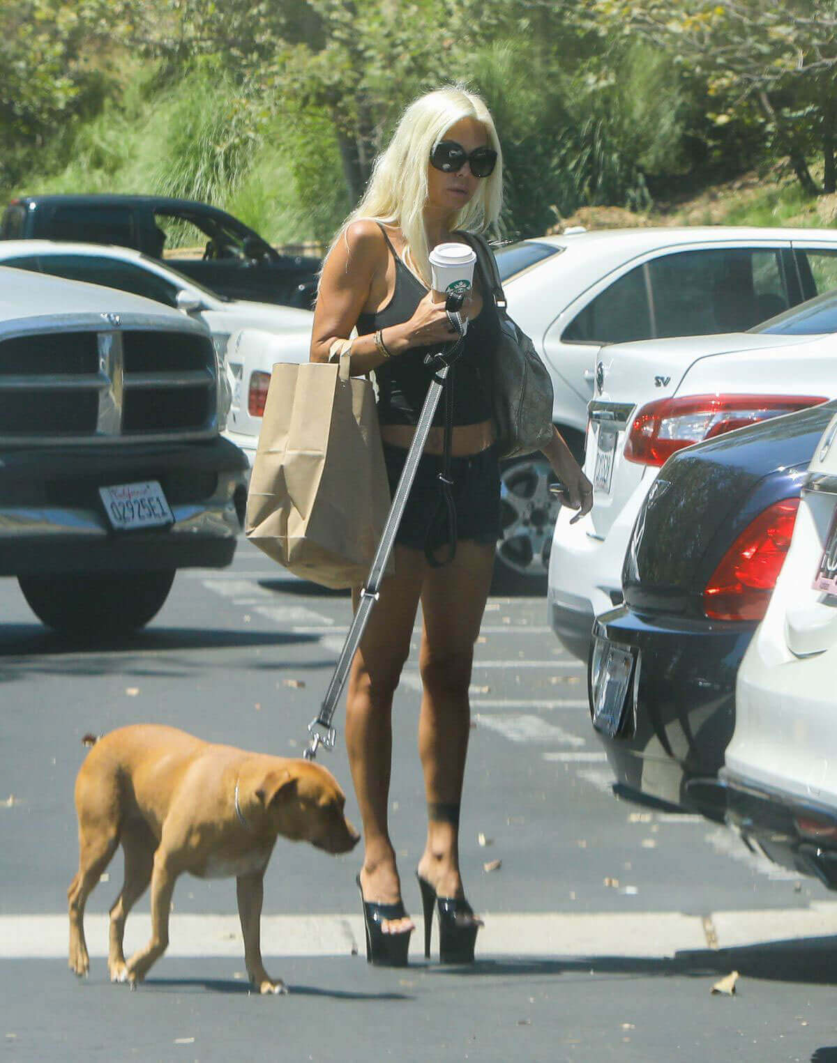 Shauna Sand Stills Walks Her Dog Out in Malibu