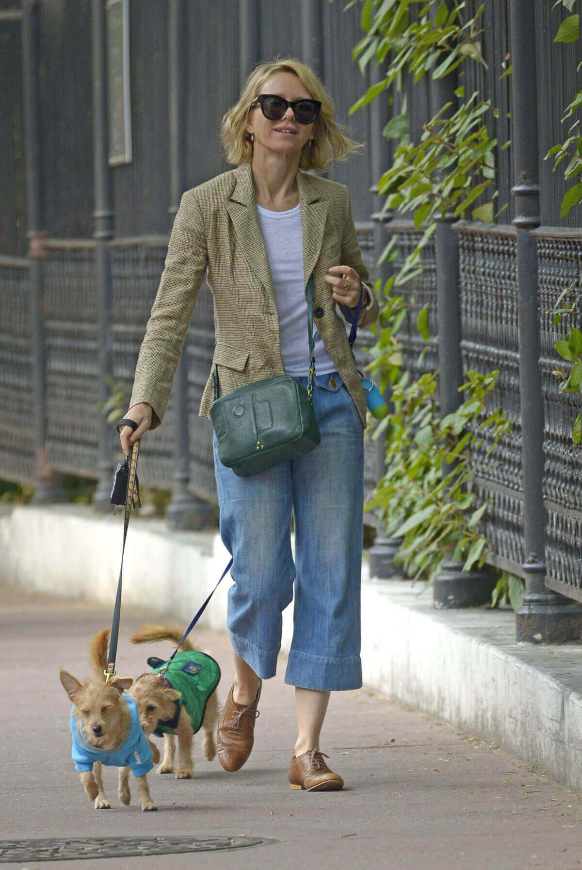 Naomi Watts Stills Out with Her Dogs in New York