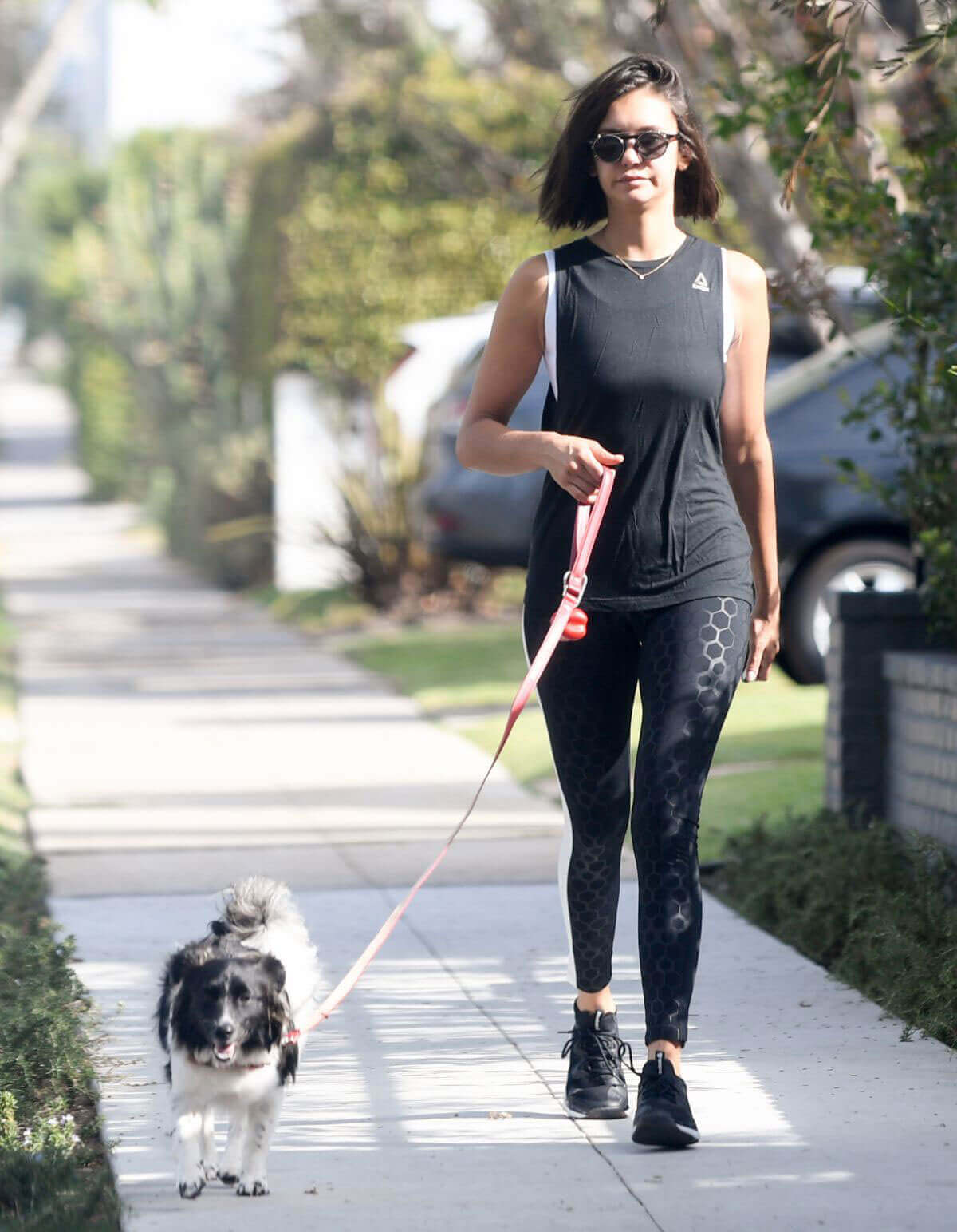 Nina Dobrev Stills Out with Her Dog in Los Angeles