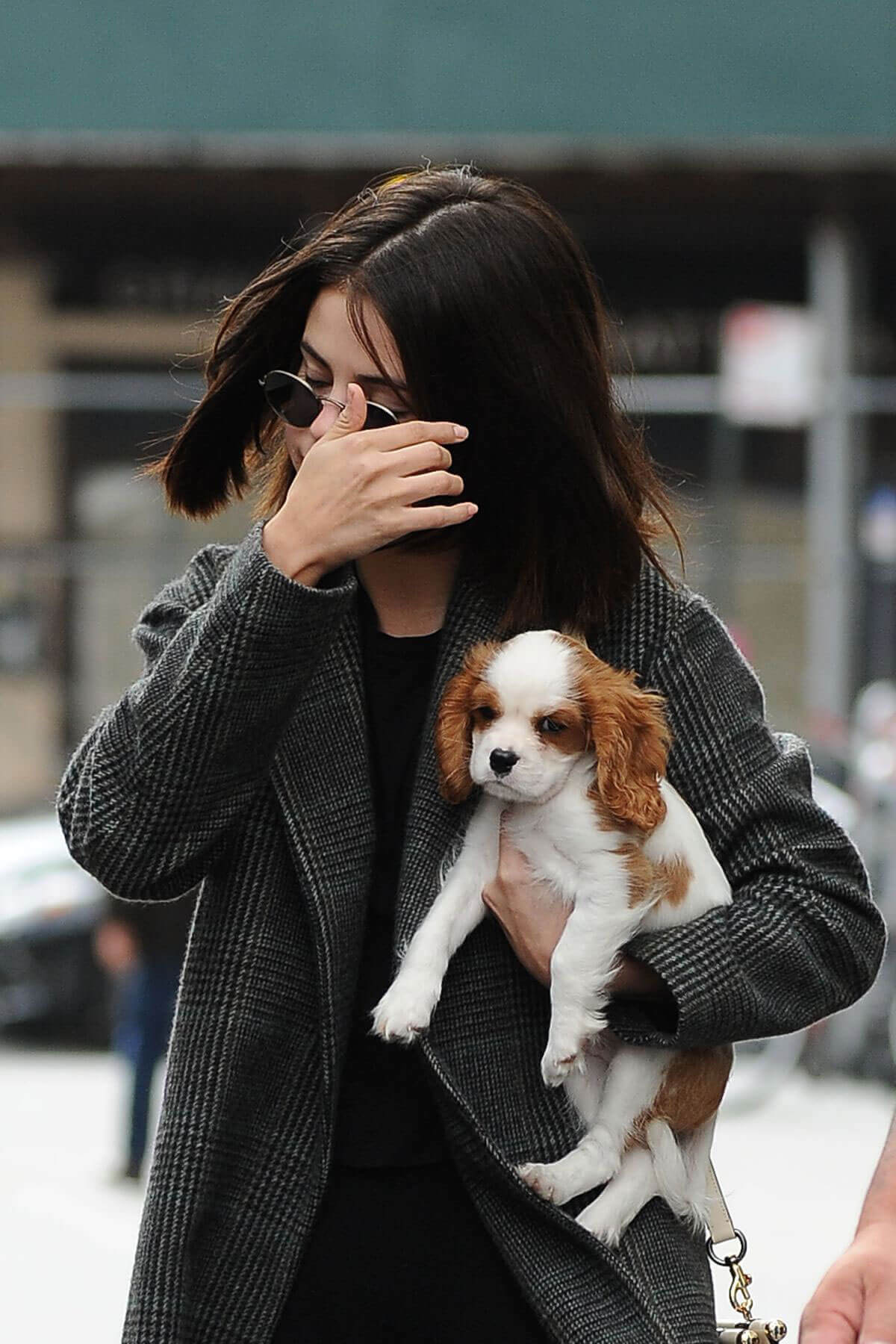 Selena Gomez Stills Out with Her New Puppy in New York