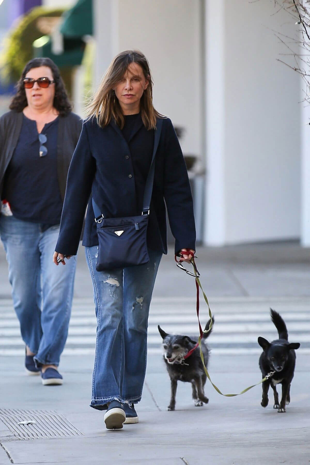 Calista Flockhart Stills Walks Her Dog Out in Brentwood