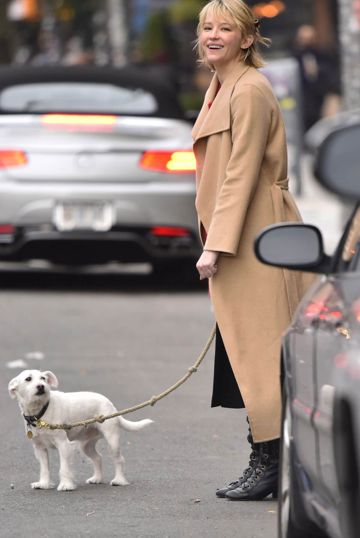 Haley Bennett wears Long Winter Coat Out with Her Dog in New York