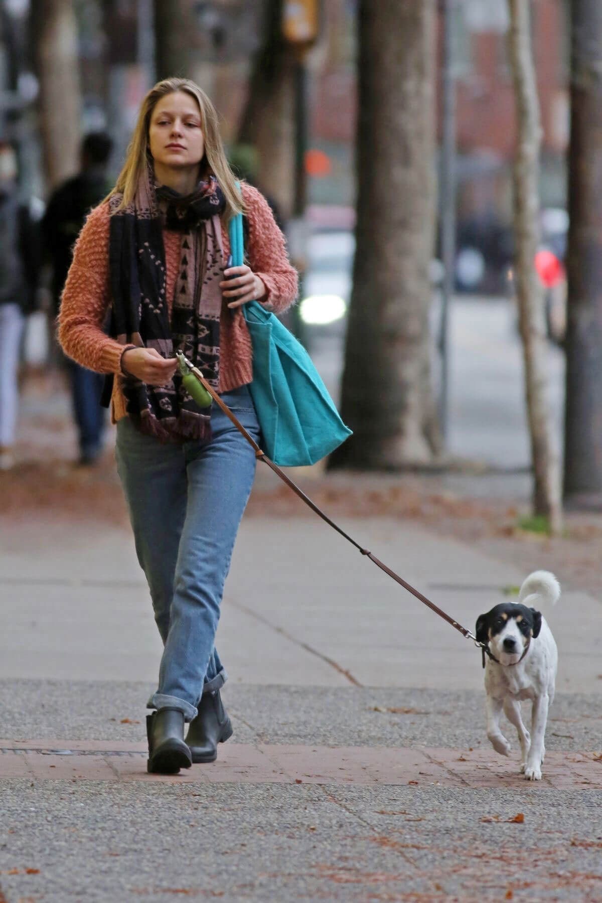 Melissa Benoist Stills Out with Her Dog in Vancouver