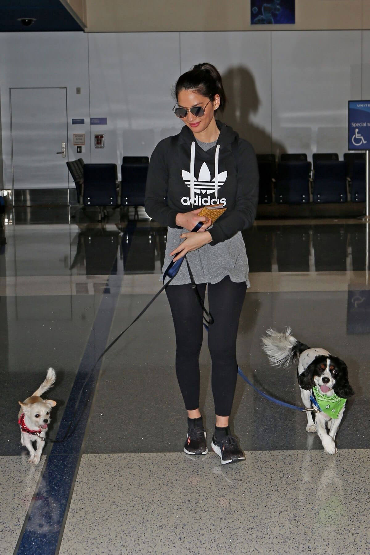 Olivia Munn Stills with Her Dogs at LAX Airport in Los Angeles