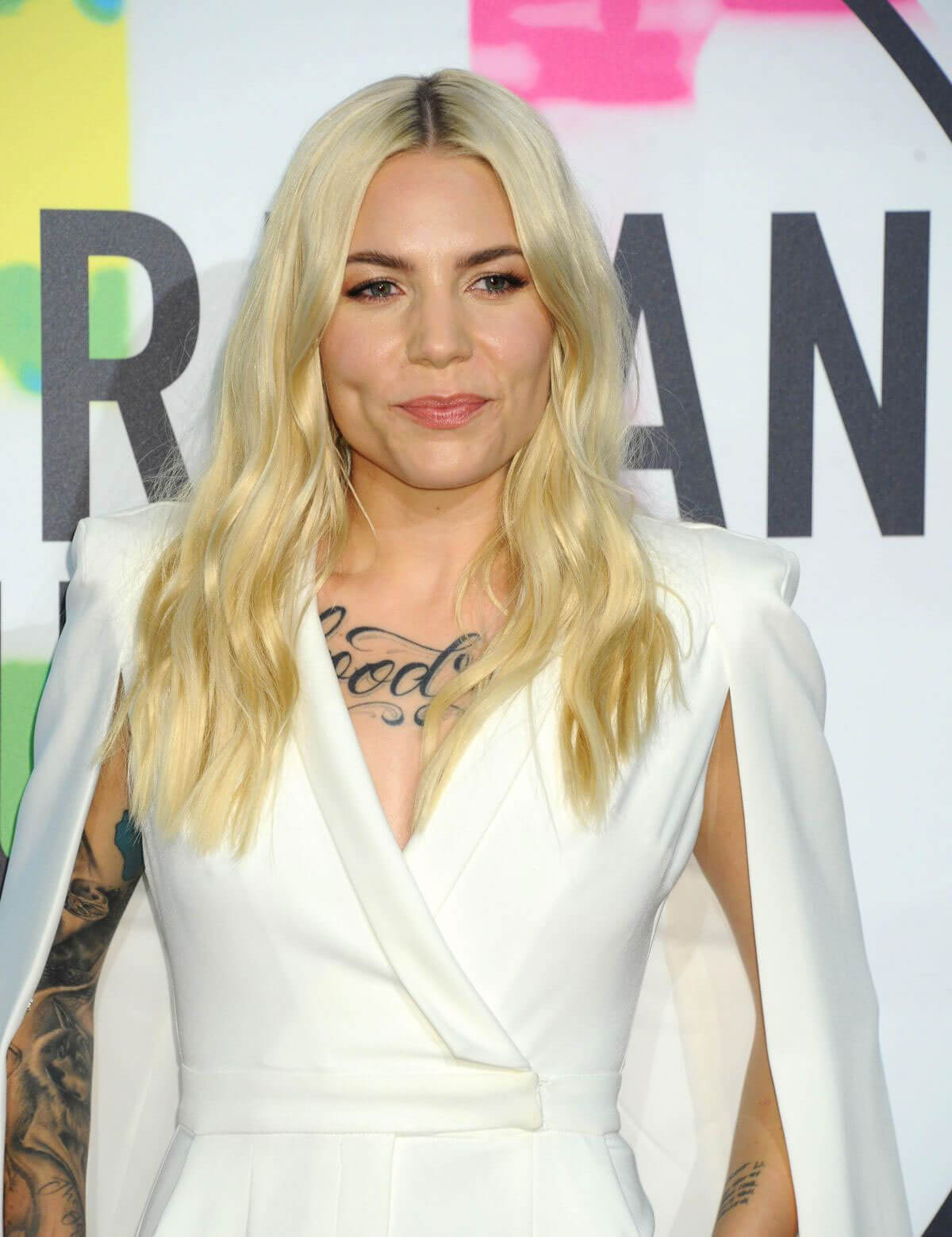 Skylar Grey Stills Performs at American Music Awards 2017 in Los Angeles