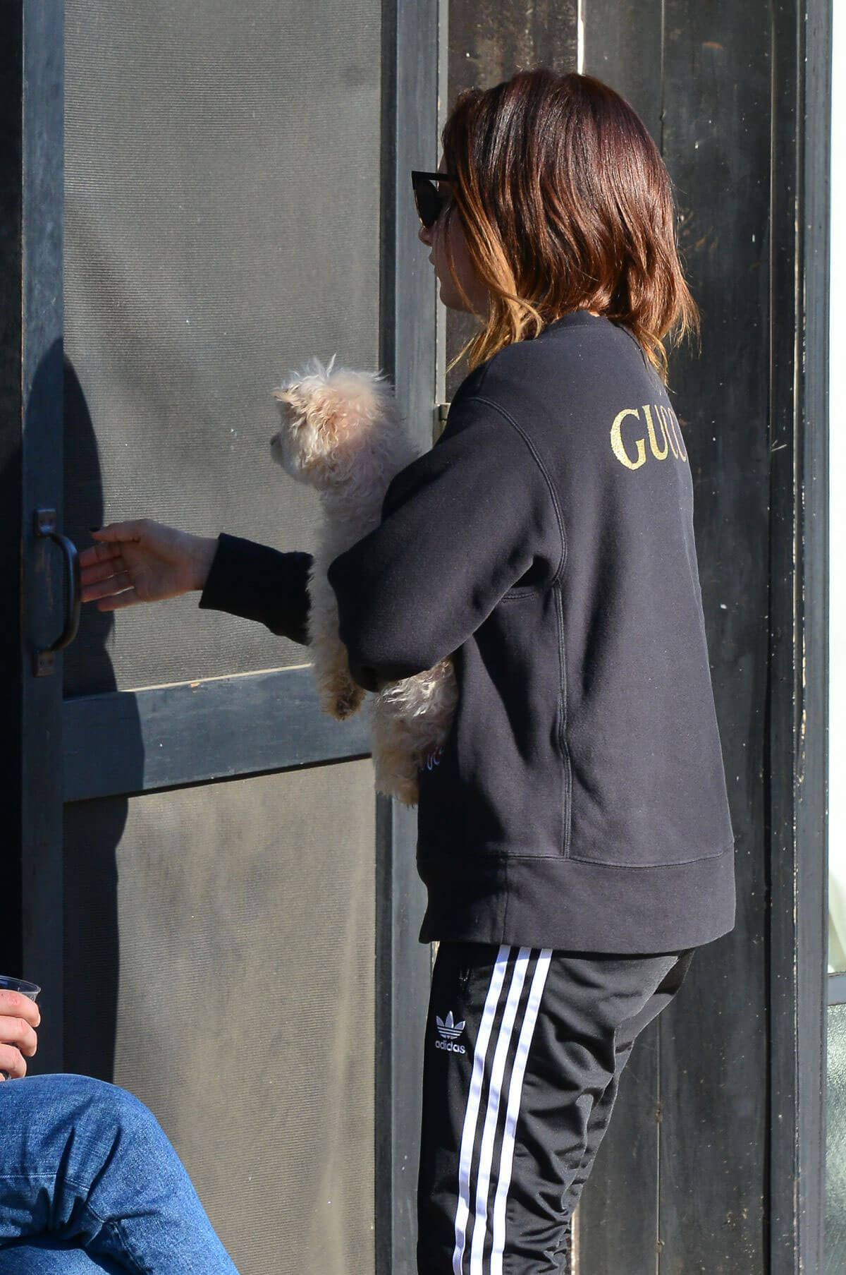 Ashley Tisdale Stills Out with Her Dog in Venice Beach 2017/12/19