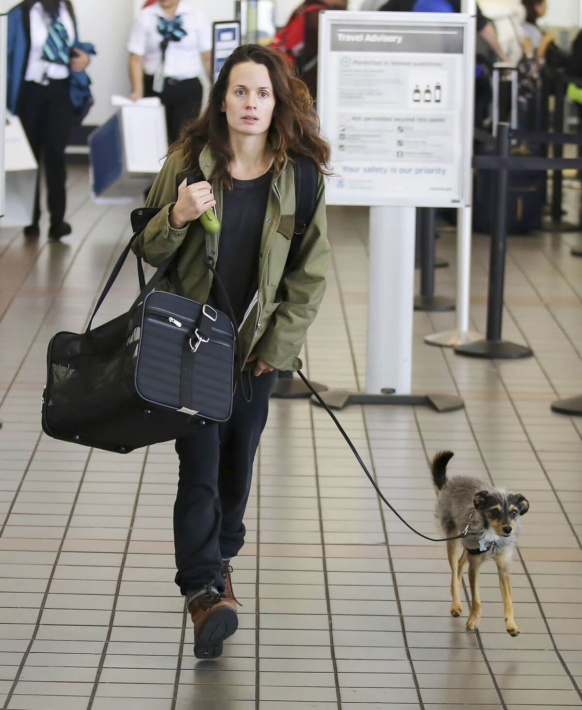 Elizabeth Reaser with her dogs at LAX Airport in Los Angeles