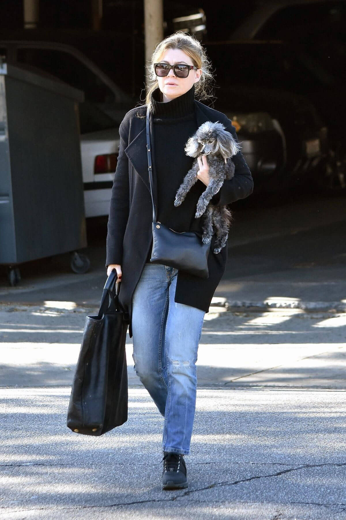 Ellen Pompeo Stills Out with Her Dog in West Hollywood 2017/12/21