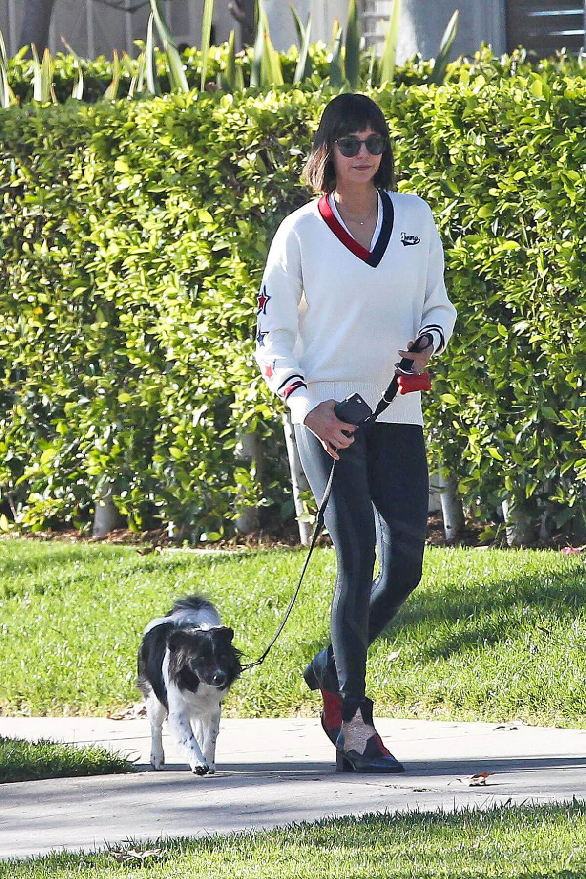 Nina Dobrev Stills Out with Her Dog in Los Angeles 2017/10/15