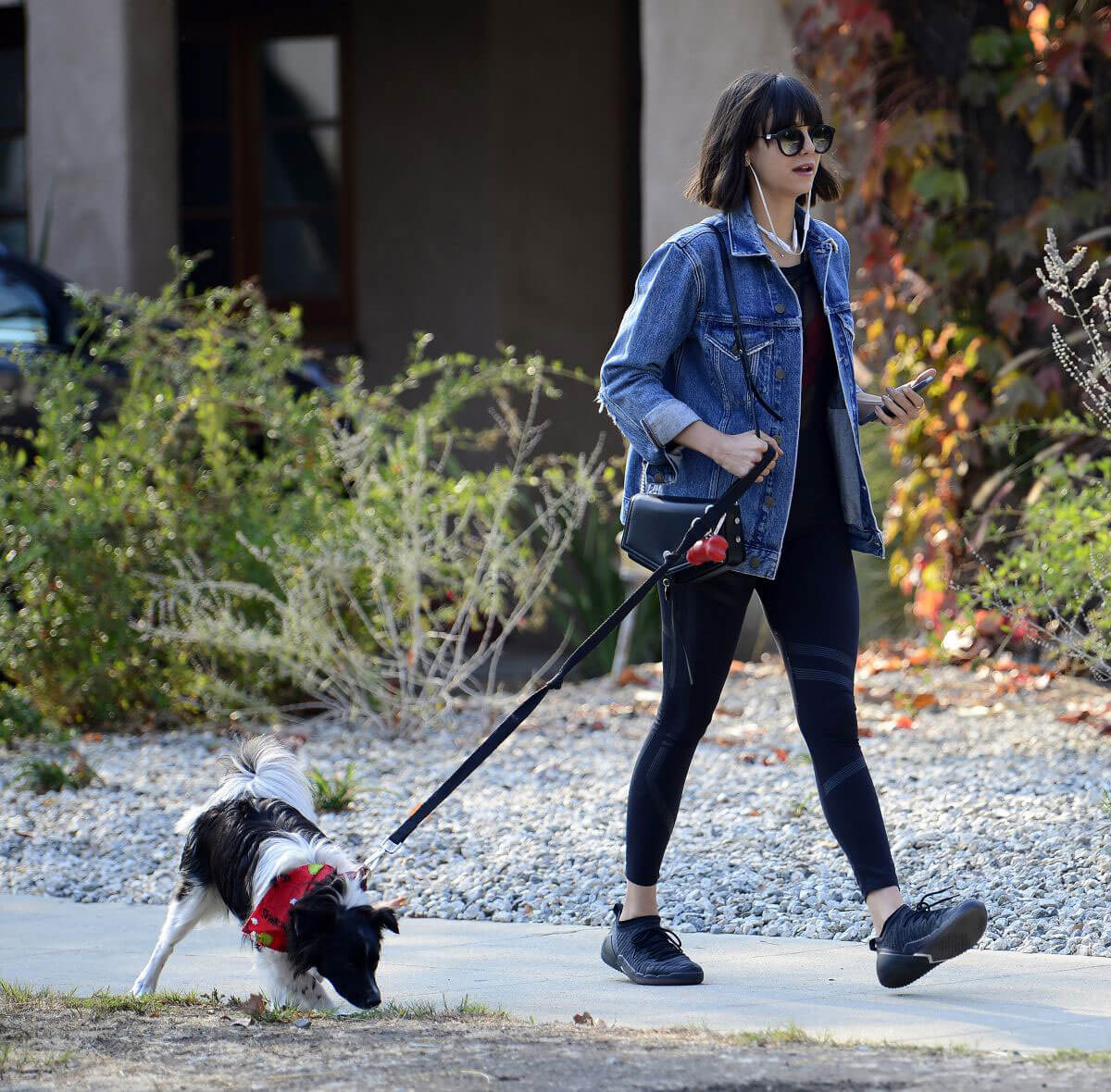 Nina Dobrev Stills Out with Her Dog Maverick in Hollywood 2017/12/16