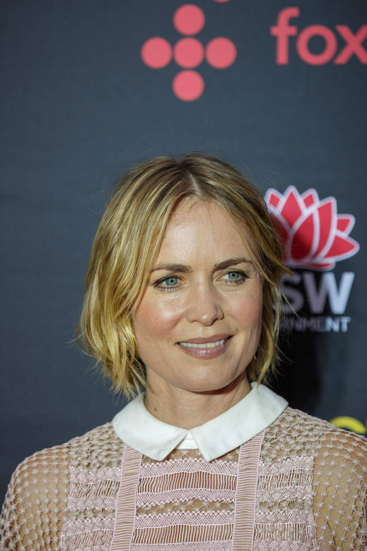 Radha Mitchell Stills at 2017 AACTA Awards in Sydney 2017/12/06