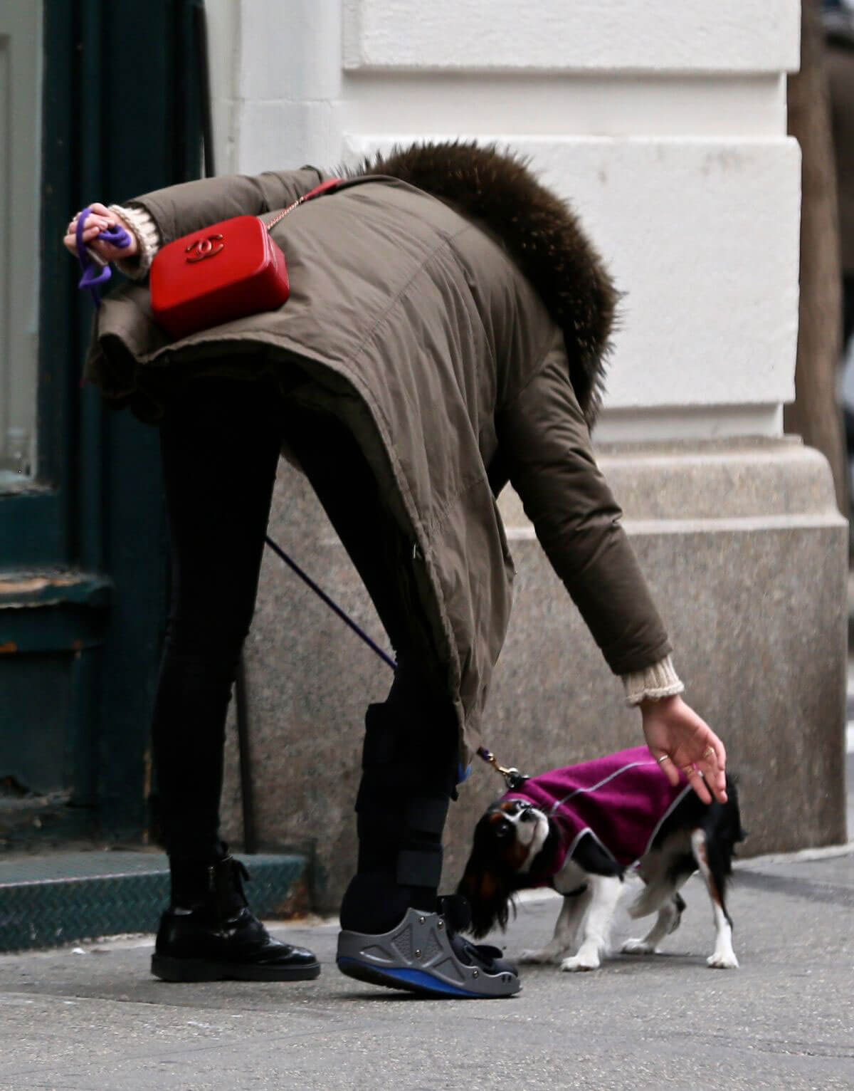 Rachel Hilbert Stills Out with Her Dog in New York 2017/11/14