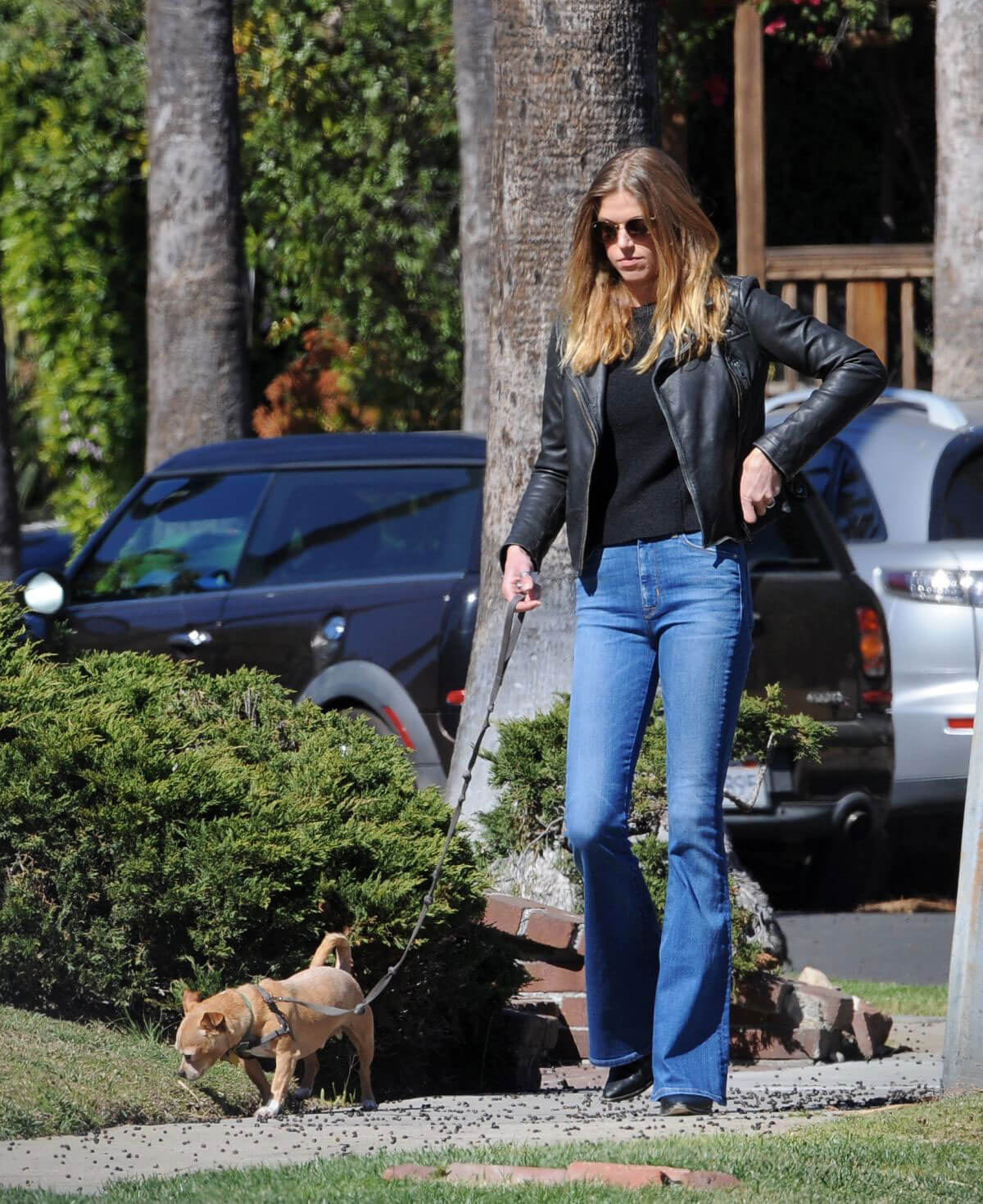 Adrianne Palicki Stills Out with Her Dog in Los Angeles 2018/02/23