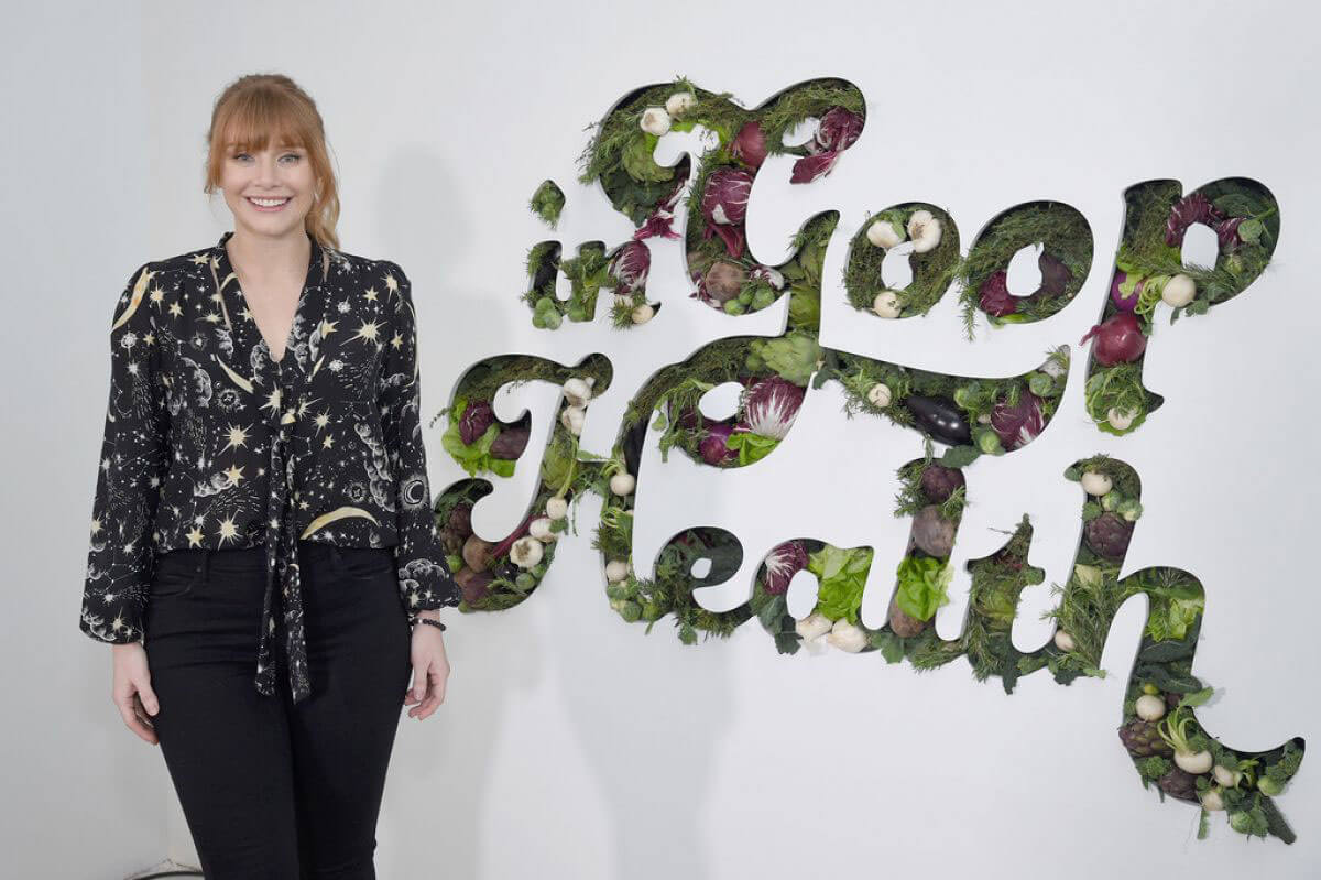 Bryce Dallas Howard Stills at In Goop Health Summit in New York 2018/01/27