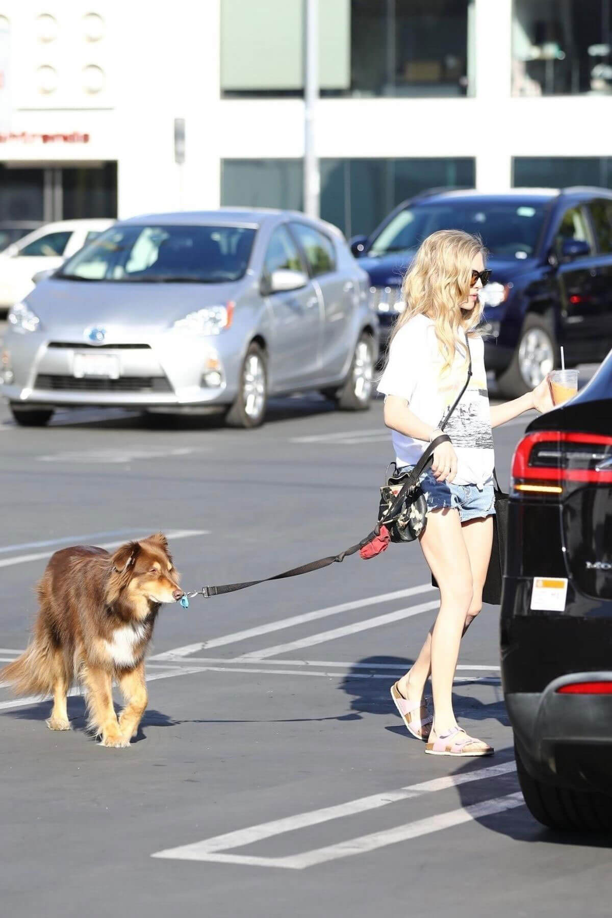 Amanda Seyfried Stills Out Shopping with Her Dog in West Hollywood 2018/03/08