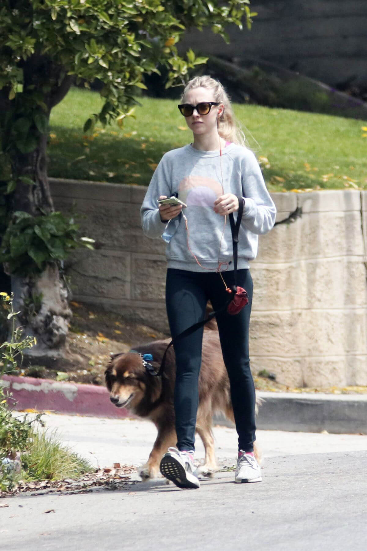 Amanda Seyfried Stills Out with Her Dog Finn in Los Angeles 2018/04/05