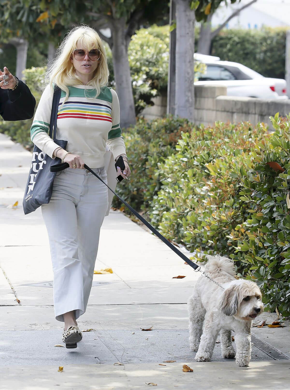 Alice Eve Out with Her Dog in Los Angeles 2018/05/29