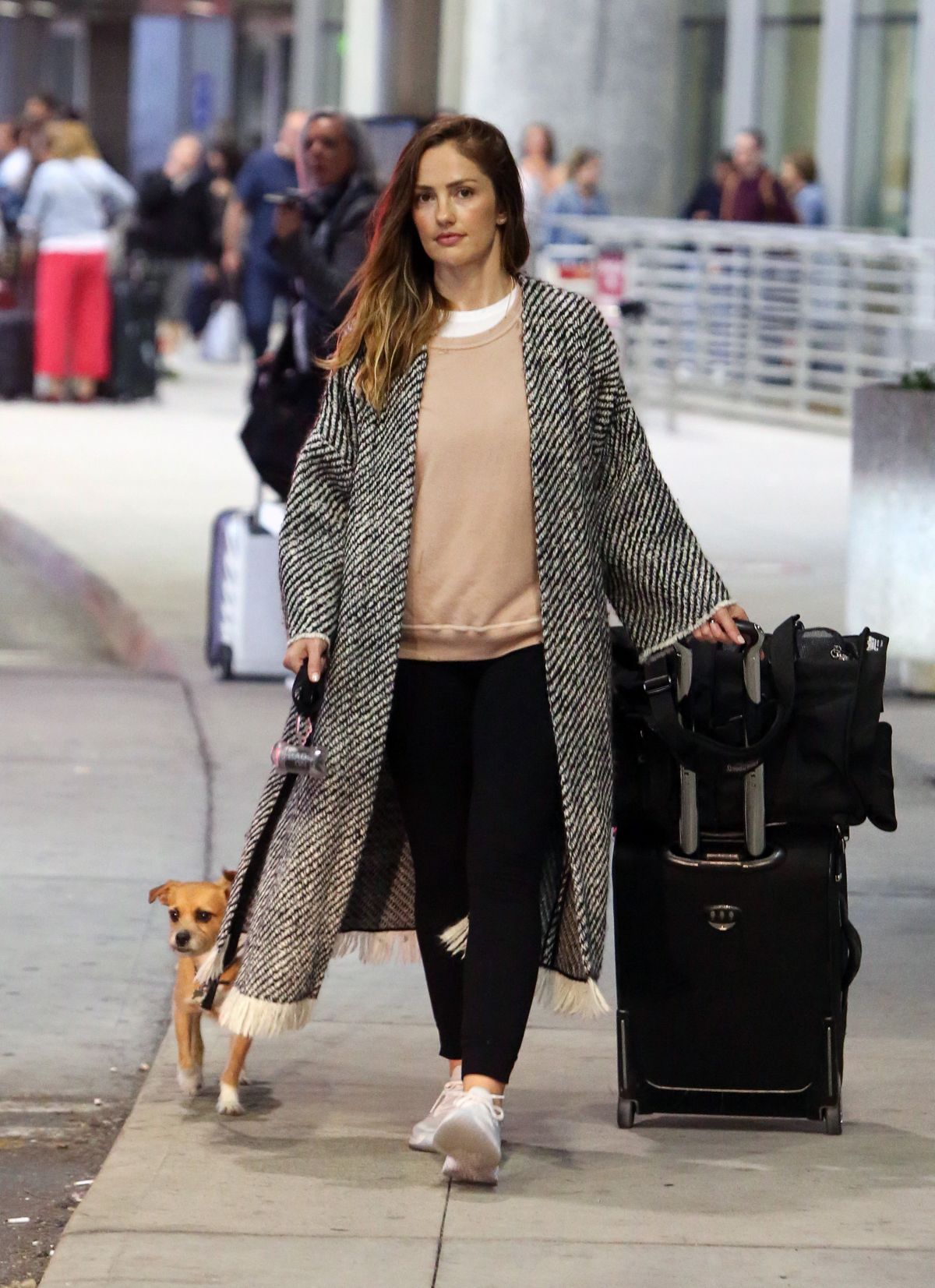 Minka Kelly Arrives with Her Dog in Toronto 2018/05/21