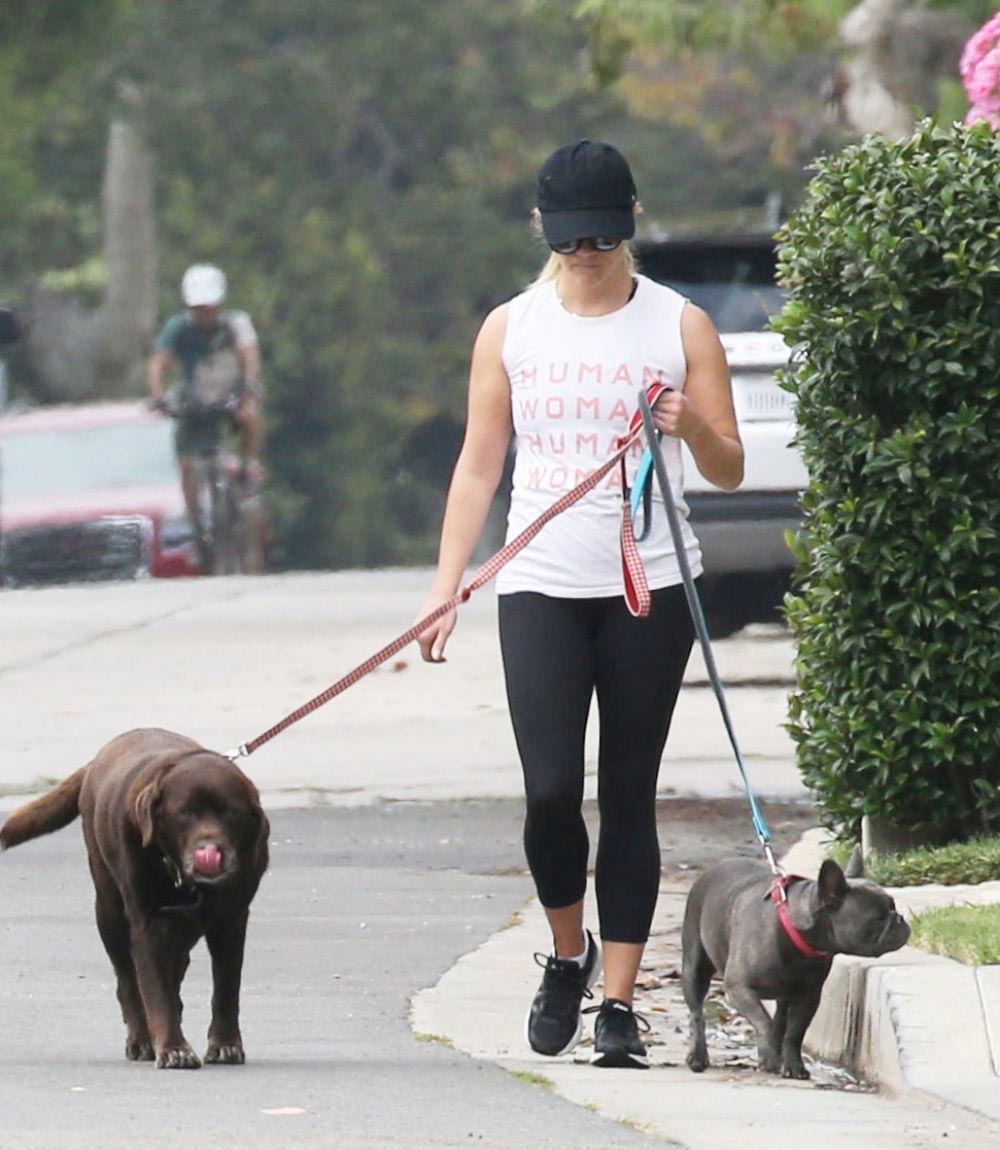 Reese Witherspoon Walks Her Dogs Out in Los Angeles 2018/08/18