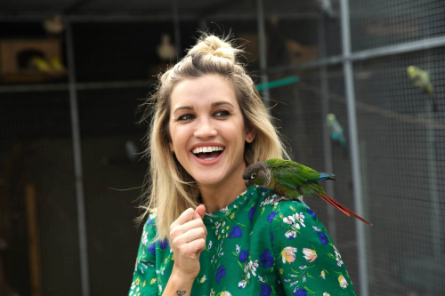 Ashley Roberts at Face of Amazon Pets