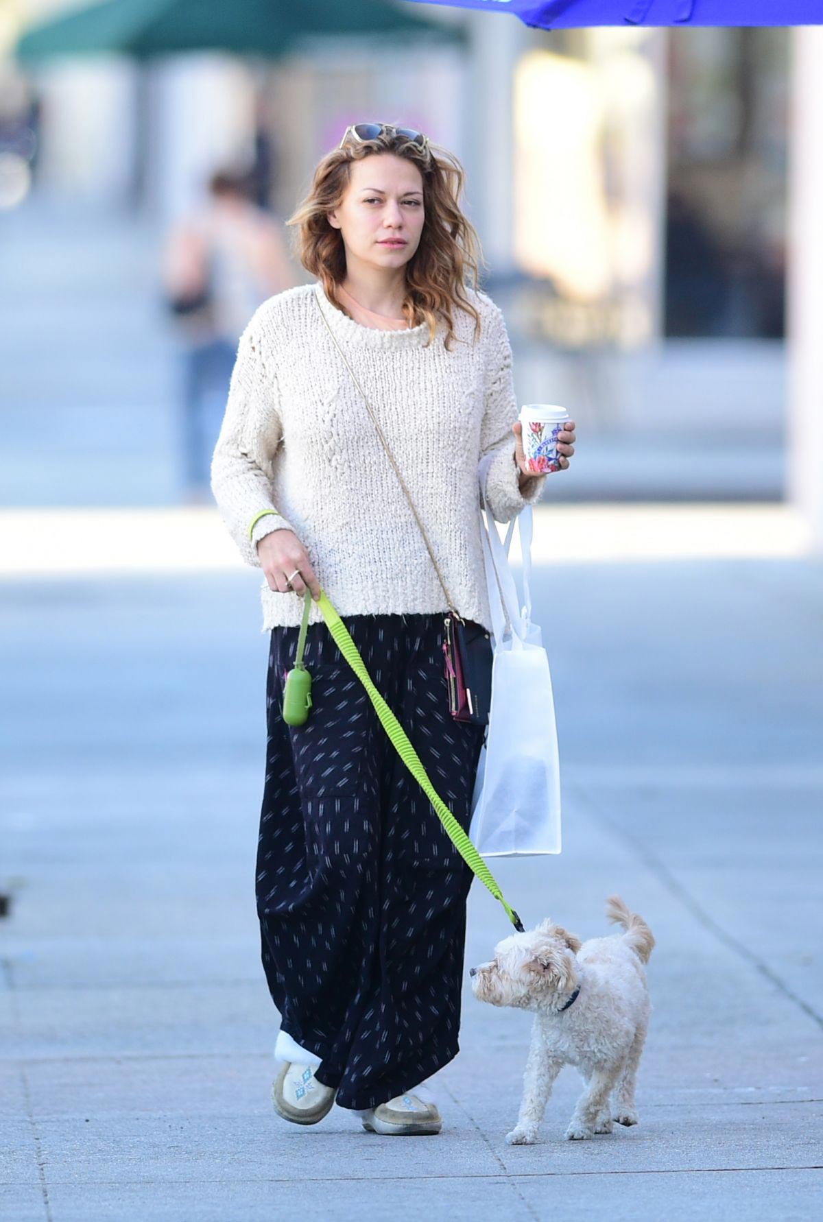 Bethany Joy Lenz Out with Her Dog in Los Angeles 2018/11/22