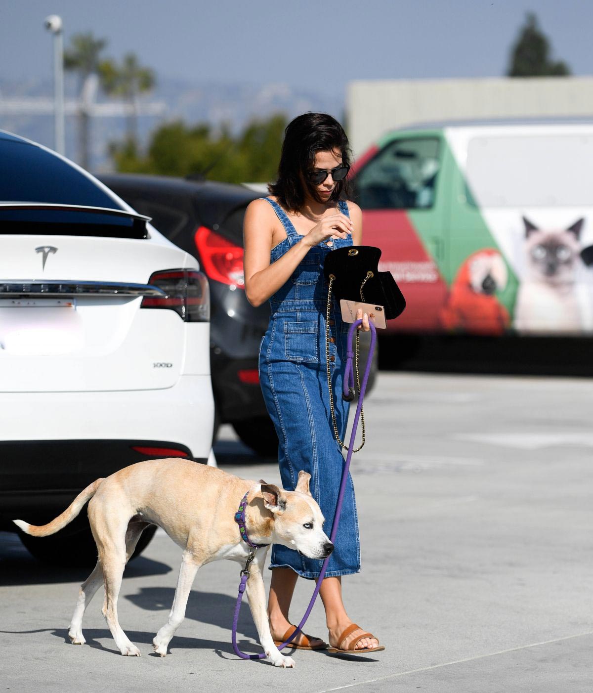 Jenna Dewan Takes Her Dog to the Vet in Los Angeles 2018/11/24