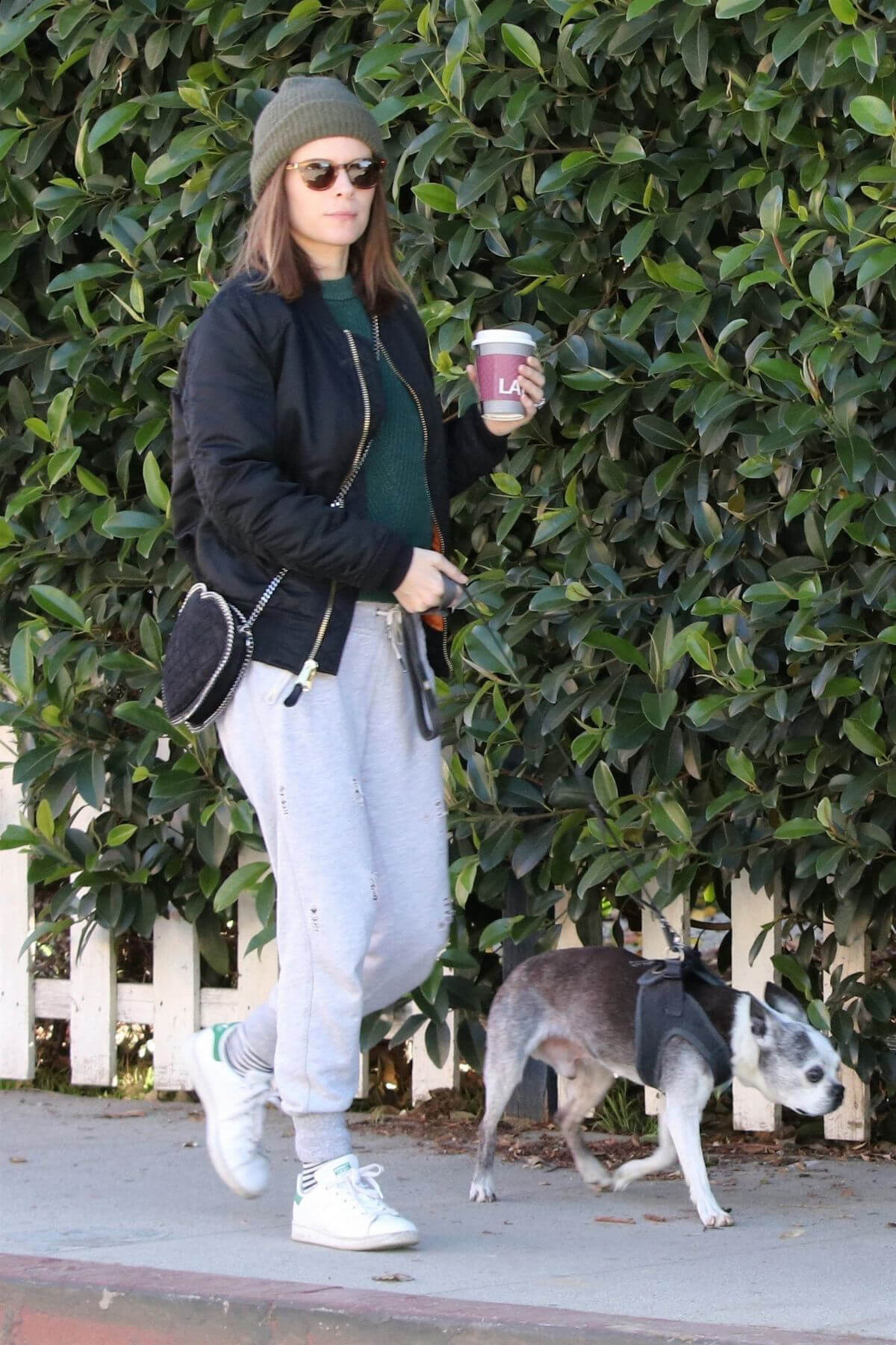 Kate Mara and Jamie Bell Out with Their Dogs in Los Angeles 2018/12/15