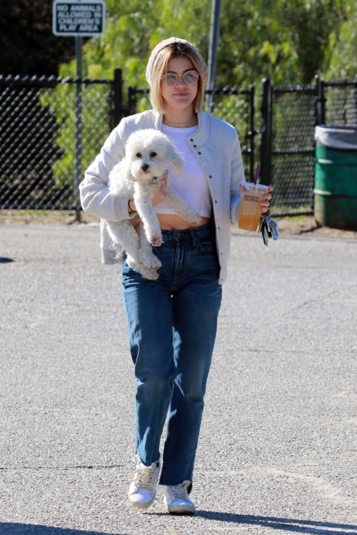 Lucy Hale at a Dog Park in Los Angeles 2018/12/08 1