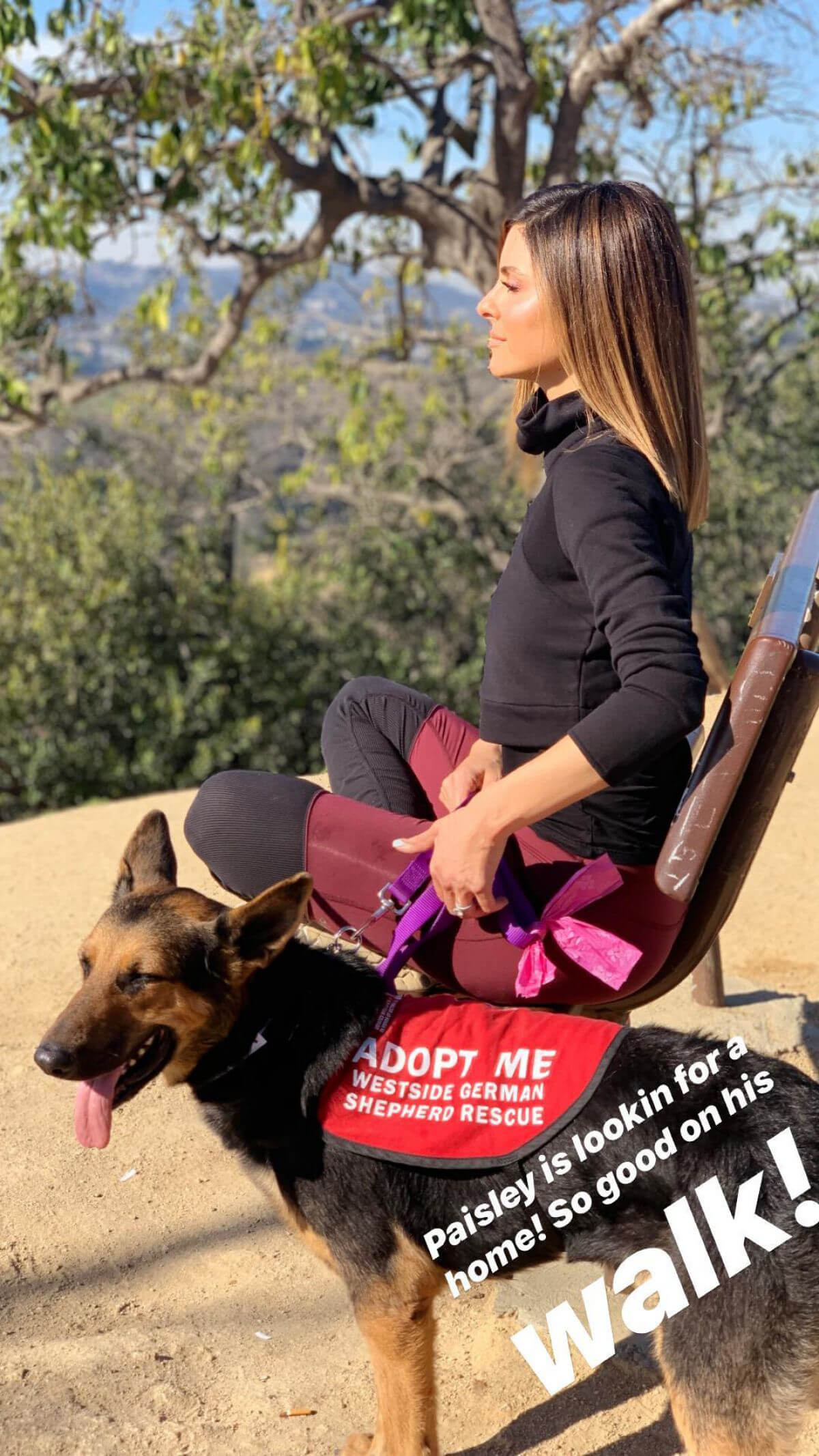 Maria Menounos Out Hiking in Hollywood Instagram Pictures 2018/12/16