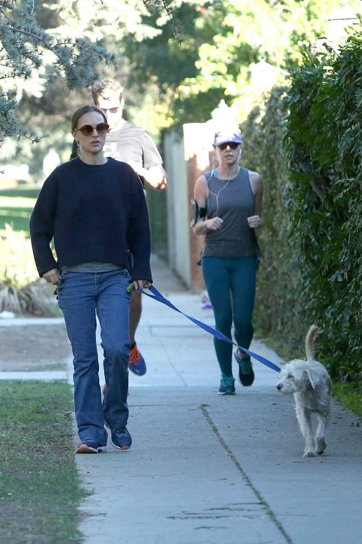 Natalie Portman Out with Her Dog in Los Angeles 2018/12/29