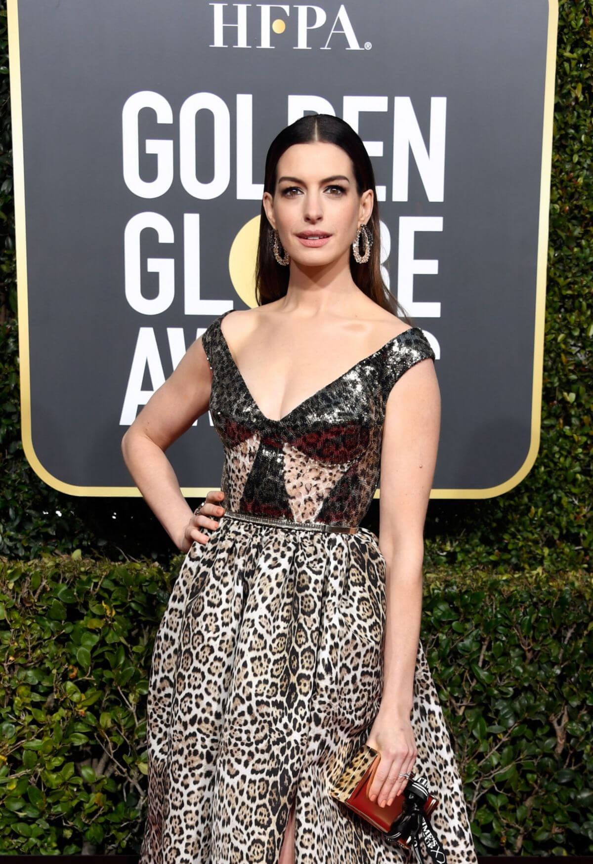 Anne Hathaway at 2019 Golden Globe Awards in Beverly Hills 2019/01/06