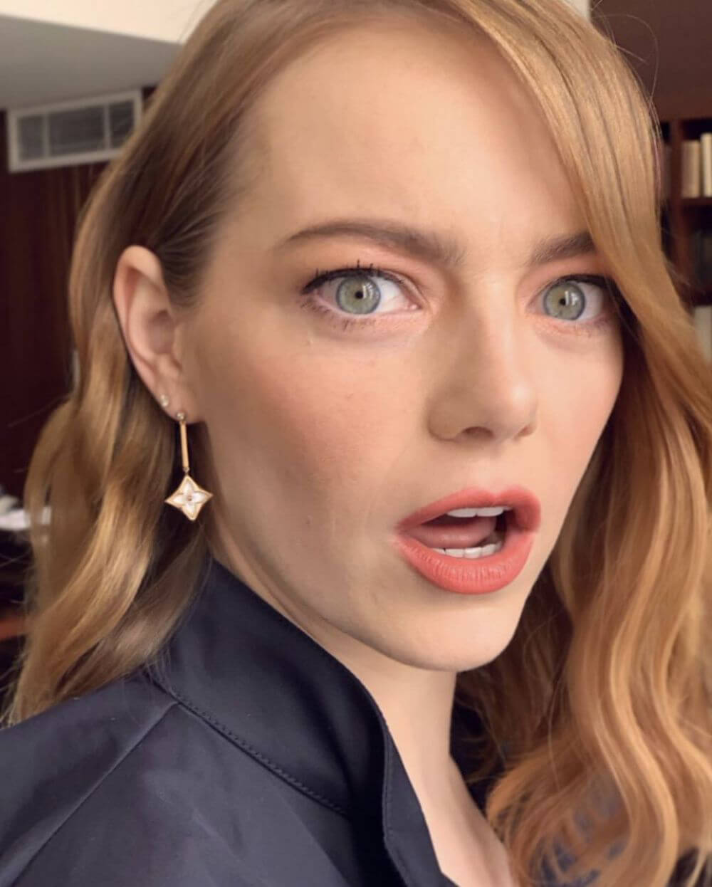 Emma Stone on Instagram Pictures 2019/01/04