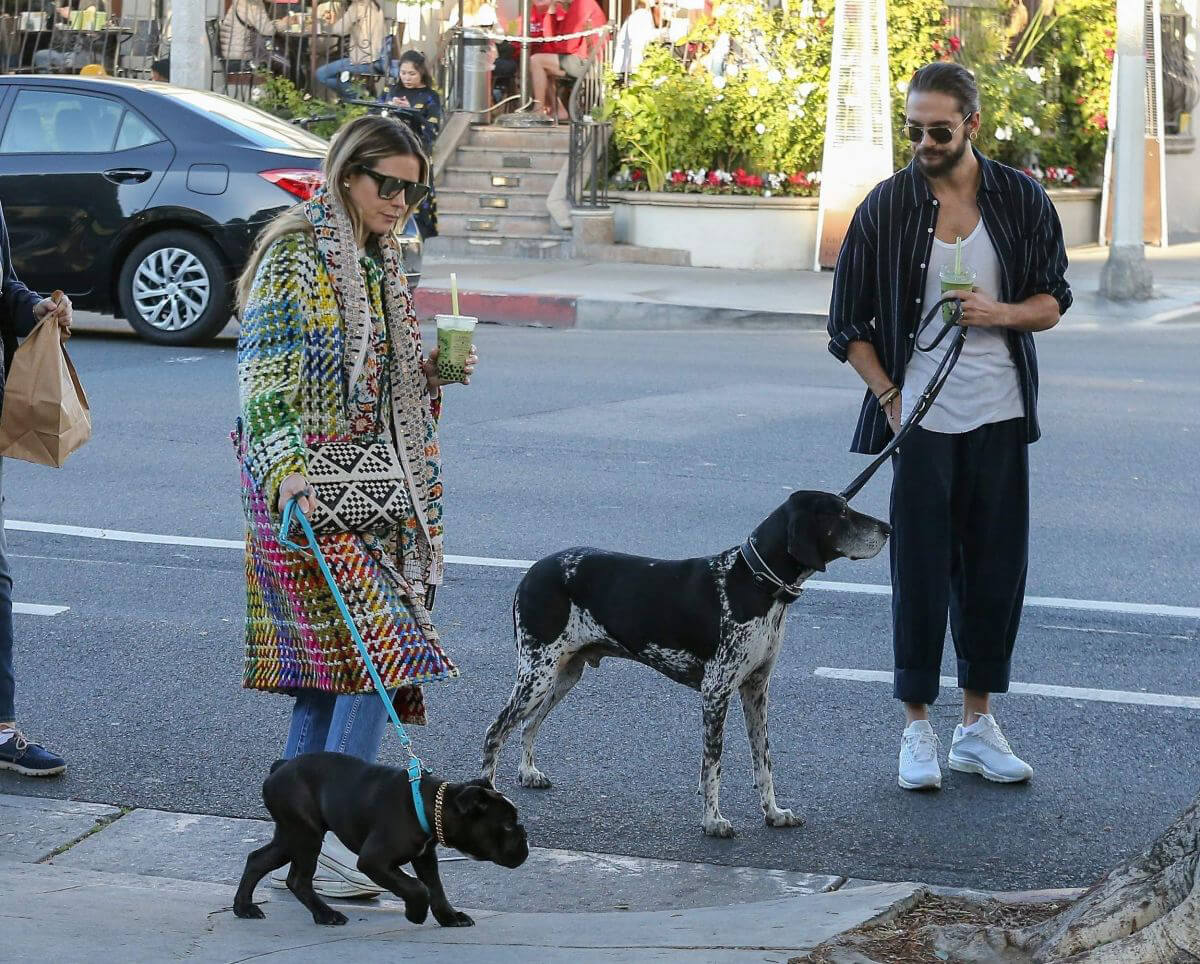 Heidi Klum and Tom Kaulitz Out with Their Dog in Los Angeles 2018/12/31