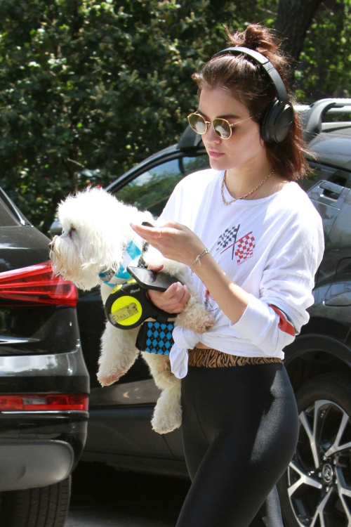 Lucy Hale walk with Her Dog at Los Angeles 2019/05/01 13