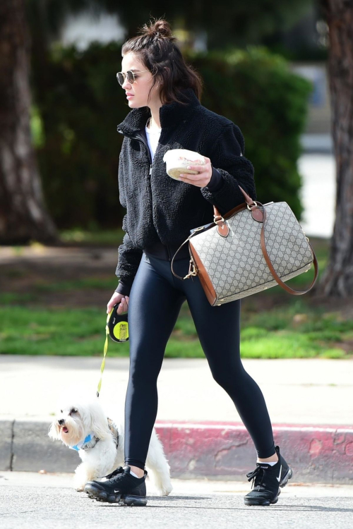 Lucy Hale walk with Her Dog at Los Angeles 2019/05/01 1