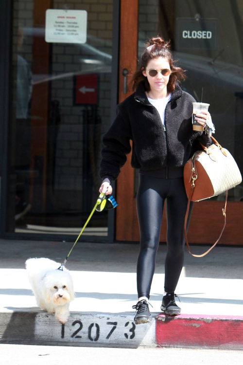 Lucy Hale with friends and her dog Out in Studio City 2019/05/01 6