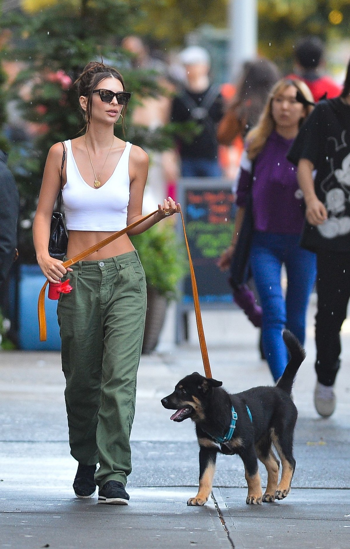 Emily Ratajkowski seen walking her dog in New York City 2019/06/20